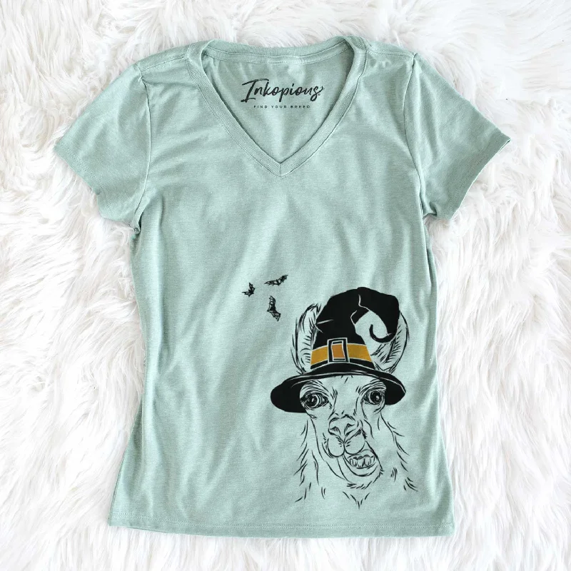Witch Larry the Llama - Women's V-neck Shirt-- Solid Print Embellished