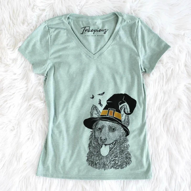 Witch Maximo the Mudi - Women's V-neck Shirt-- Chenille Fabric Brocade Fabric Lace Fabric Witch Maximo the Mudi - Women's V-neck Shirt-- Chenille Fabric Brocade Fabric Lace Fabric