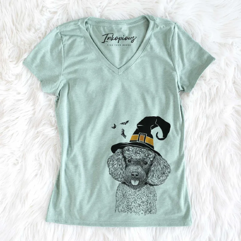 Witch George the Toy Poodle - Women's V-neck Shirt-- Solid Color Striped Floral