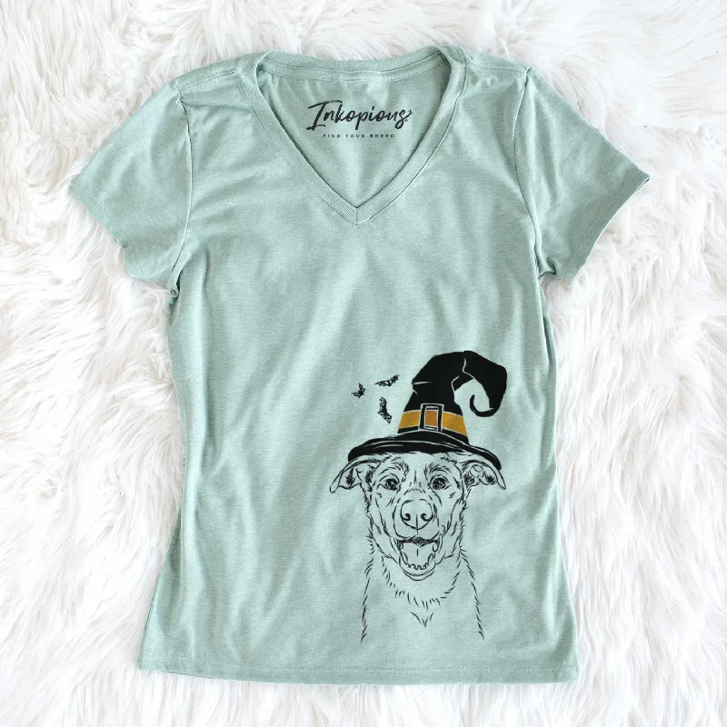 Witch Noah the Border Collie - Women's V-neck Shirt-- Mesh Blend Leather Blend Suede Blend Witch Noah the Border Collie - Women's V-neck Shirt-- Mesh Blend Leather Blend Suede Blend